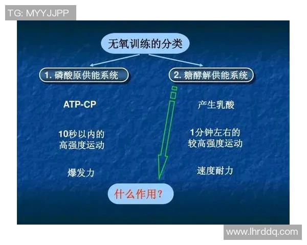 广州羽毛球队耐力训练的深度分析与实践探索